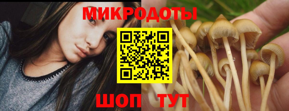 Псилоцибиновые грибы мицелий Красноярск