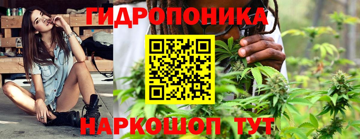 МАРИХУАНА White Widow  МАРИХУАНА ГИДРОПОН  Марихуана планчик  Вход с VPN  Красноярск 